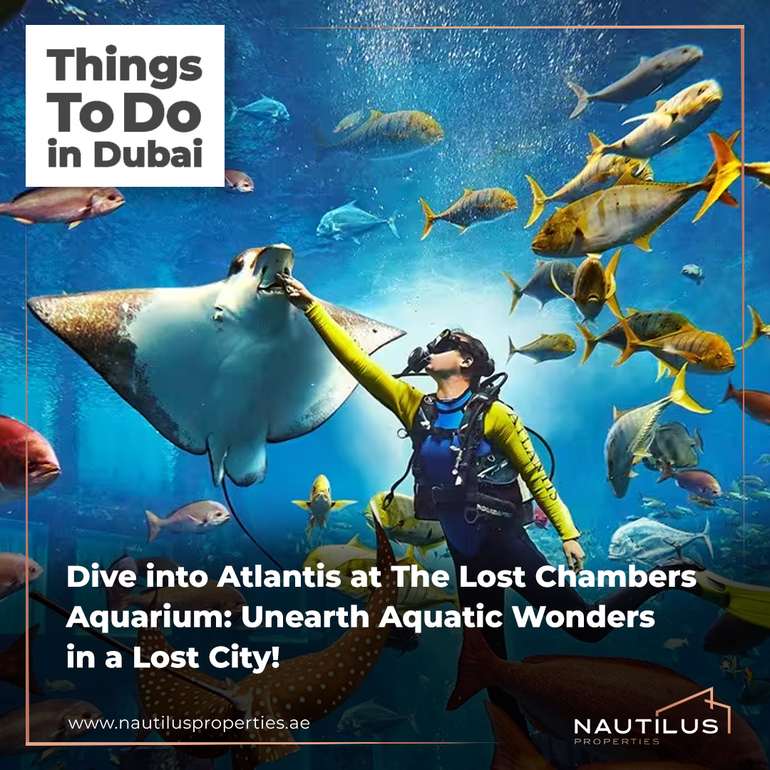 THINGSTODOINDUBAI: Exploring the Wonders of The Lost Chambers Aquarium in Atlantis, The Palm