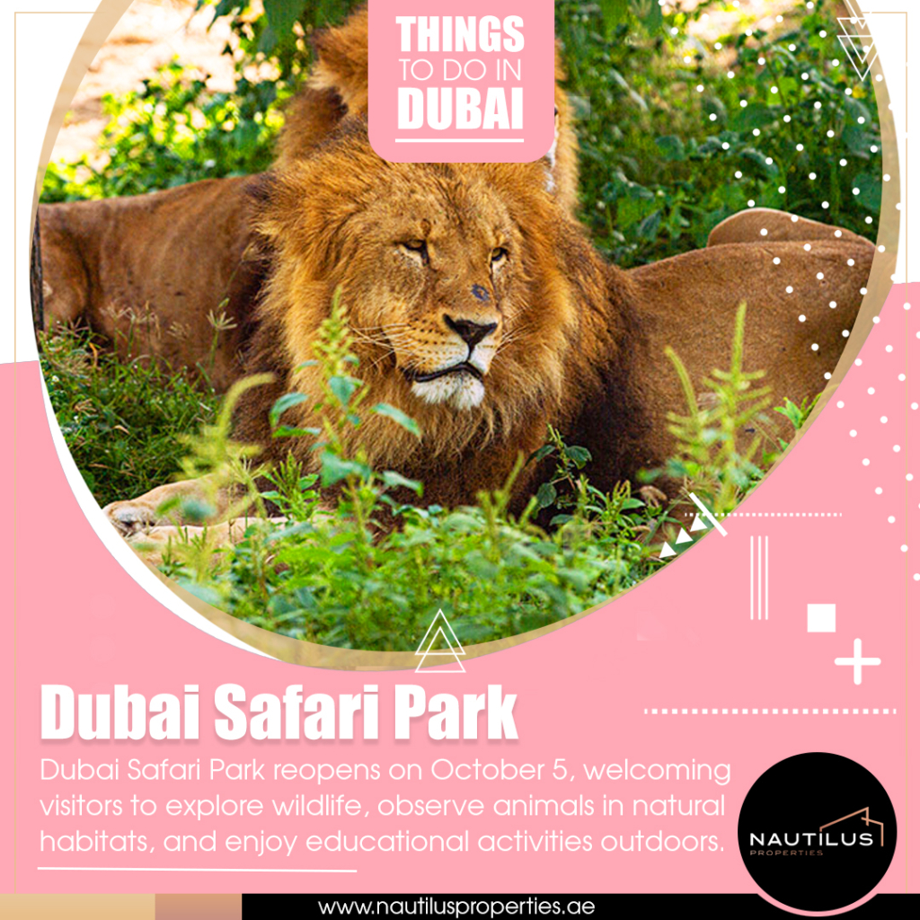 #THINGSTODOINDUBAI:  Embark on a Wild Journey at Dubai Safari Park