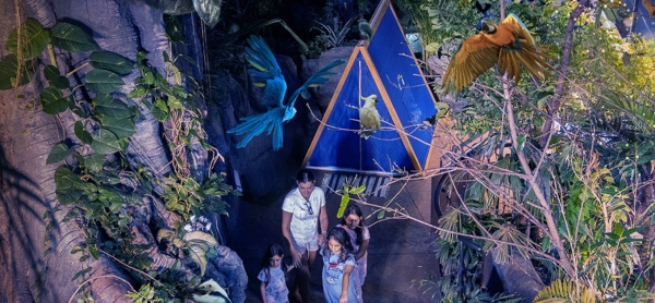Comfortable hammocks and bedding set up for overnight guests among the indoor rainforest ambiance at The Green Planet Dubai.